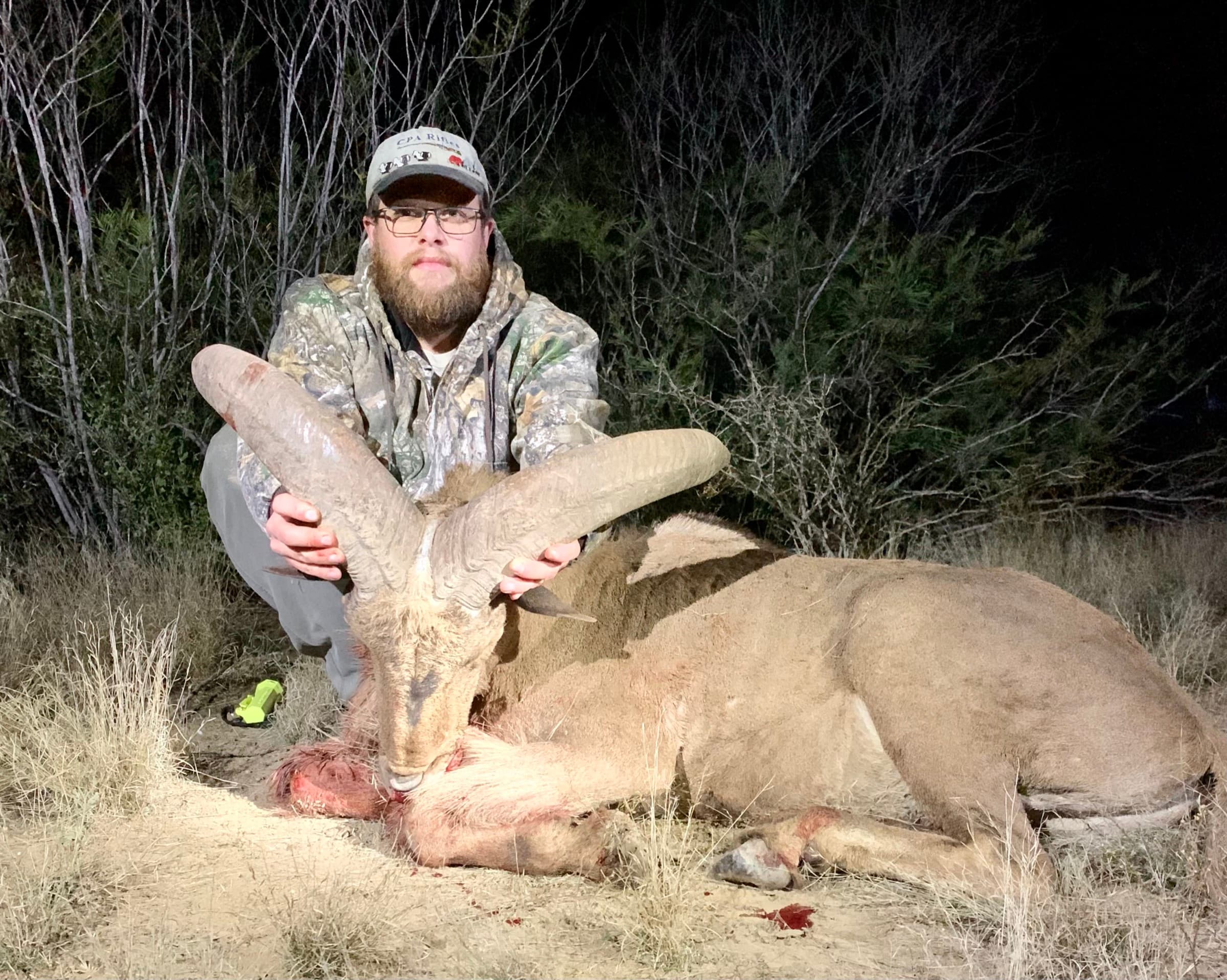A harvested aoudad ram with its curved horns after an evening hunt at WS Turkey Creek Ranch.