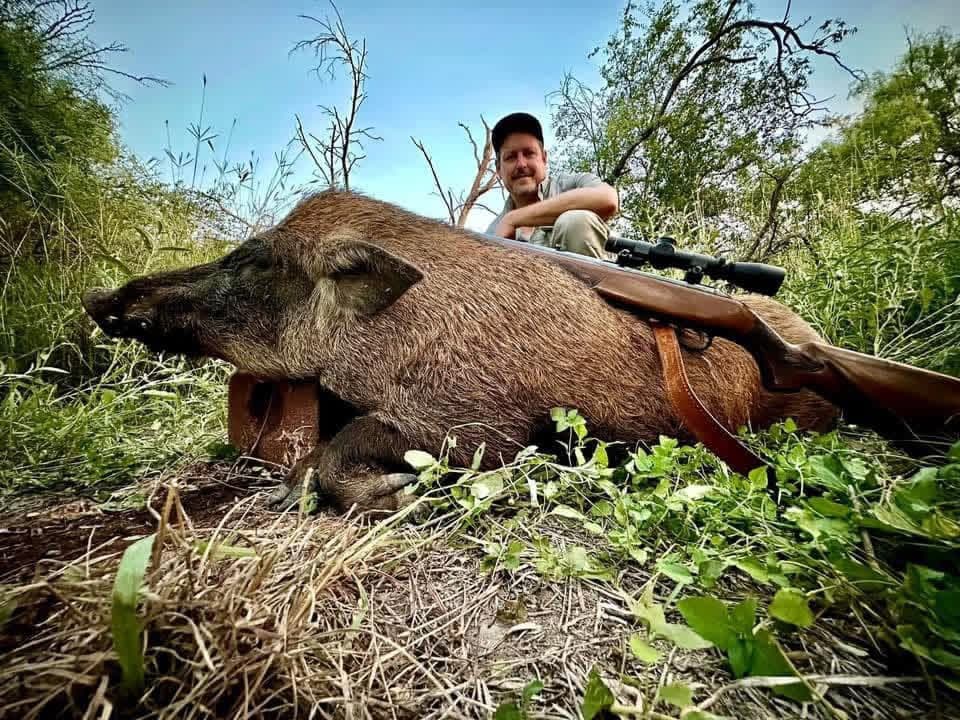 A hunter rests behind a harvested wild hog with a scoped rifle at Brochin Expeditions.