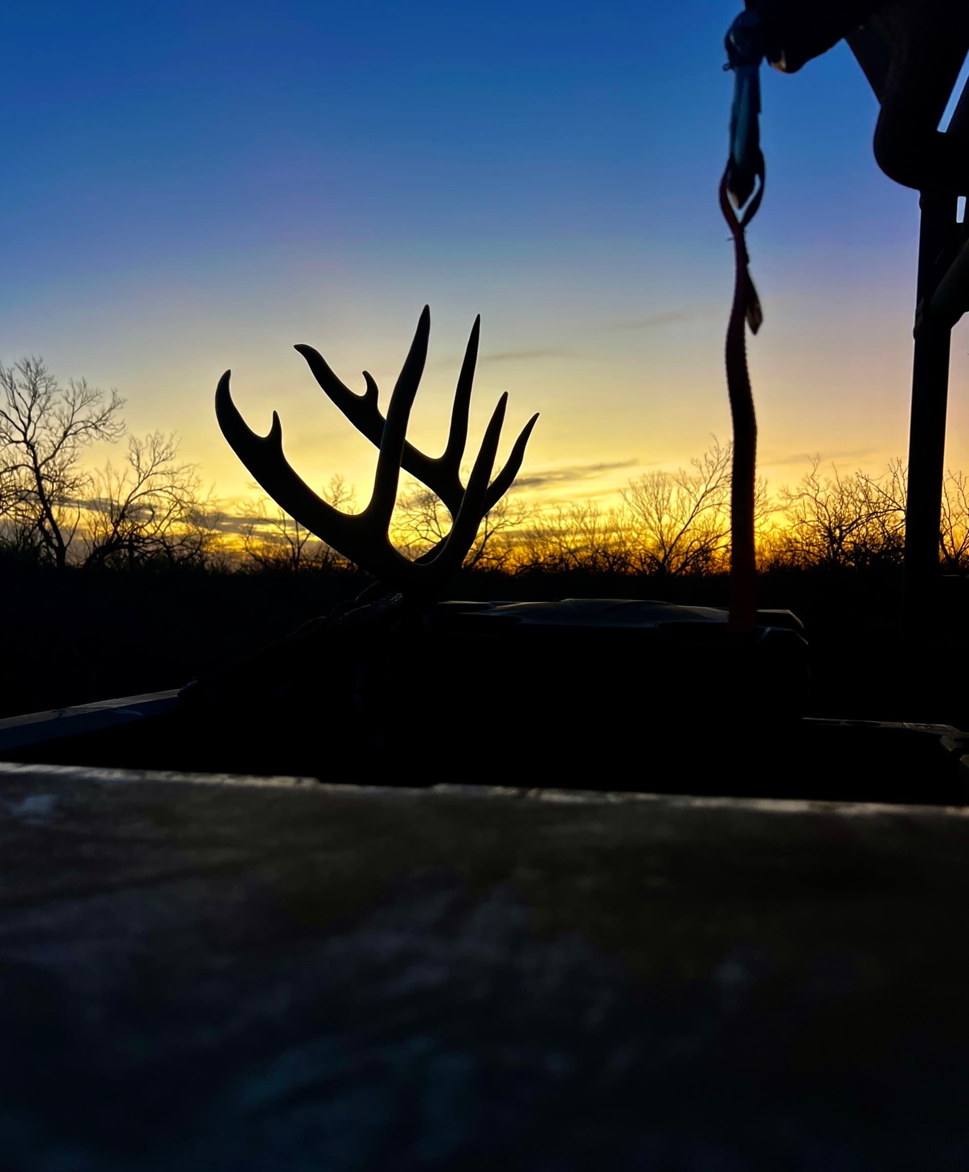 A whitetail rack silhouetted against a sunset sky in the bed of a truck at WS Turkey Creek Ranch.